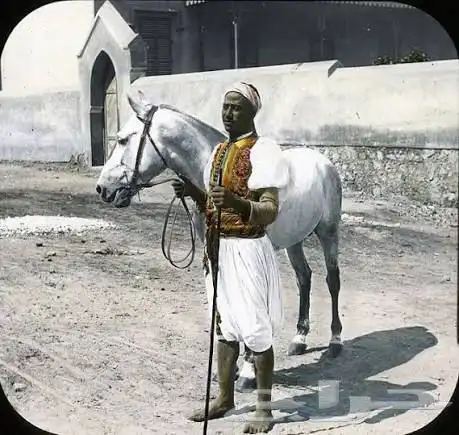 مطلوب سايس خيل 0