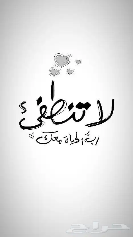 للسكن المريح.. غرفة وصالة بسعر يناسب الكل 0