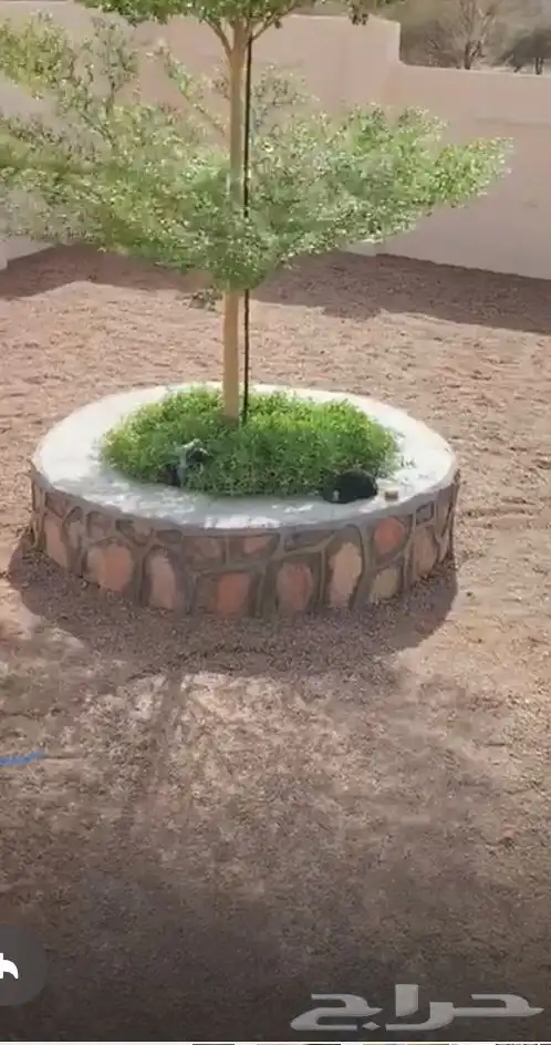 معلم بنا حجر طبيعي 4