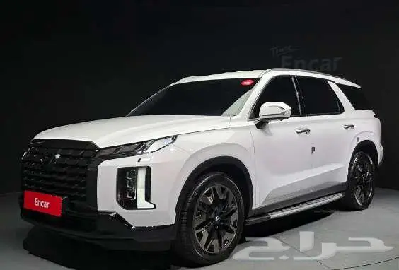 هيواندي باليسيد موديل 2024 الميموني للاستيراد بكوريا 1