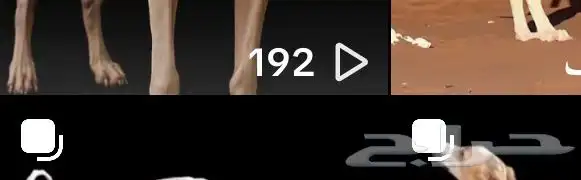 رفع متابعى واعضاء تيك وتلي وجميع البرنامج 2