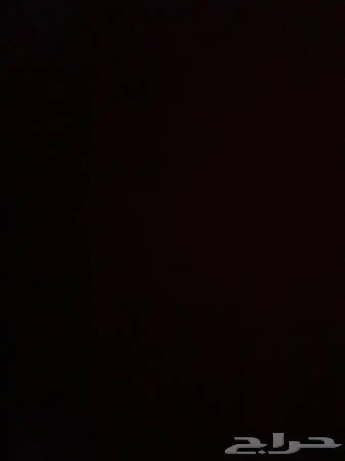 كلب سلق الي عنده جرو سلق يتواصل معي 0