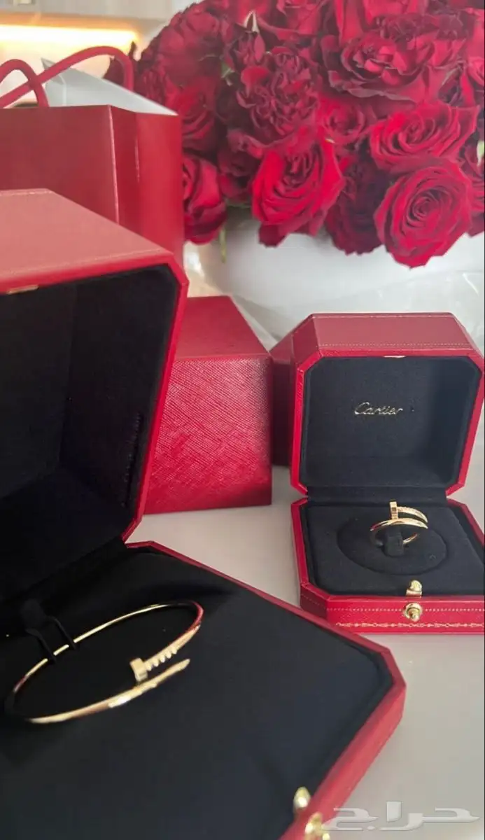 كارتير لويس فيتون جميع الماركات بالجمله 1
