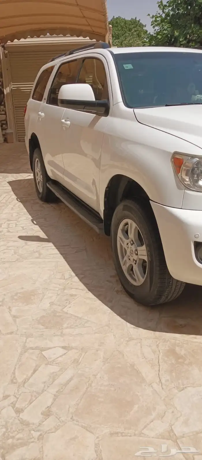 سيكويا 2011 4
