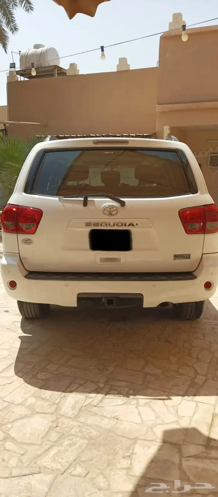 سيكويا 2011 10