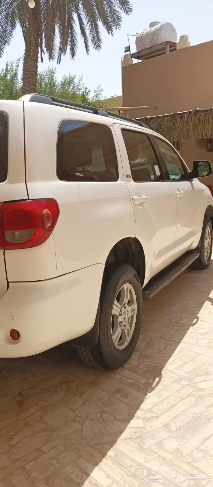 سيكويا 2011 7