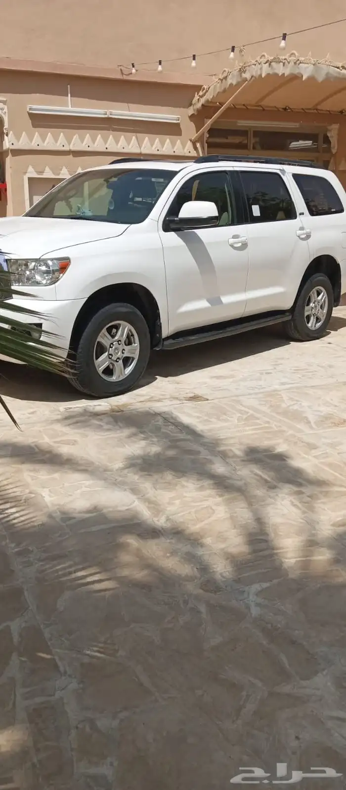 سيكويا 2011 1