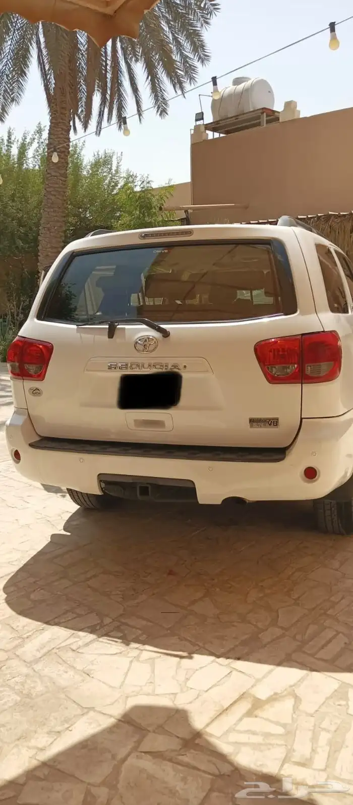 سيكويا 2011 11