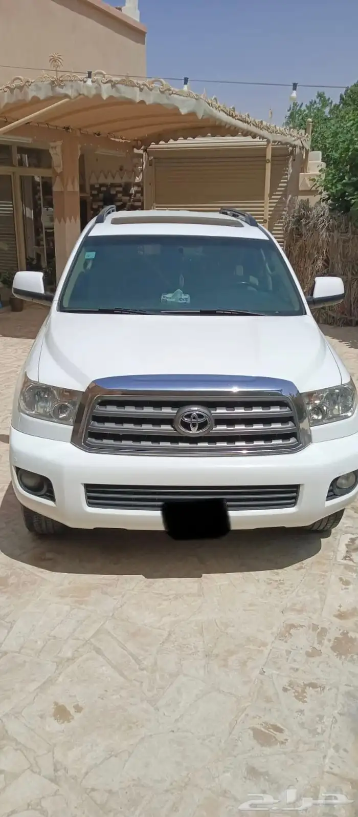 سيكويا 2011 6