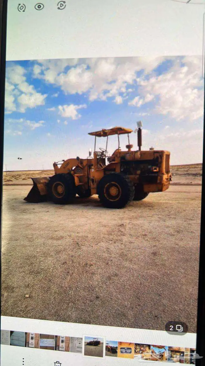 شيول 81 1