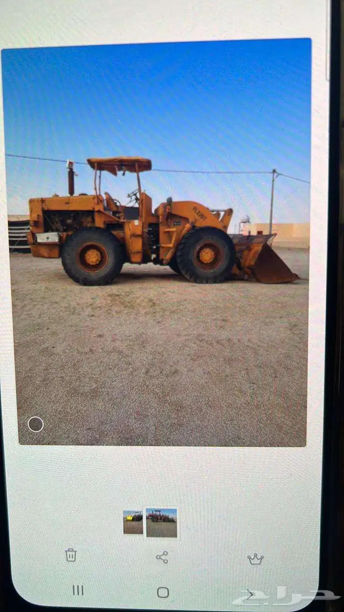 شيول 81 2