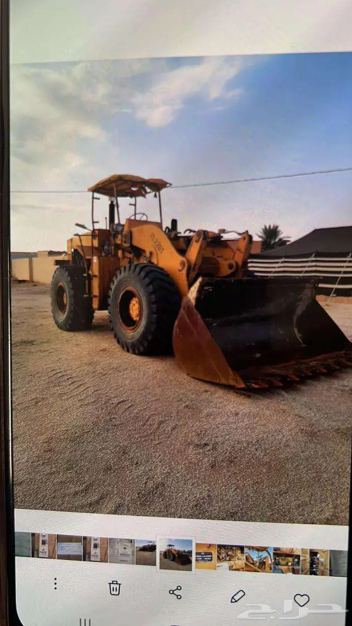 شيول 81 3
