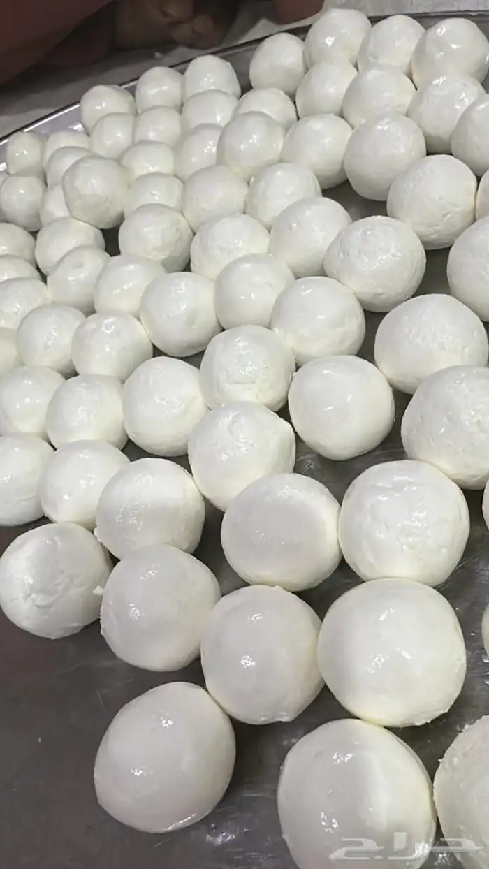 زبده غنم سمن غنم جبنه غنم خاثر غنم لبت لبنه مقدوس نوعين 48