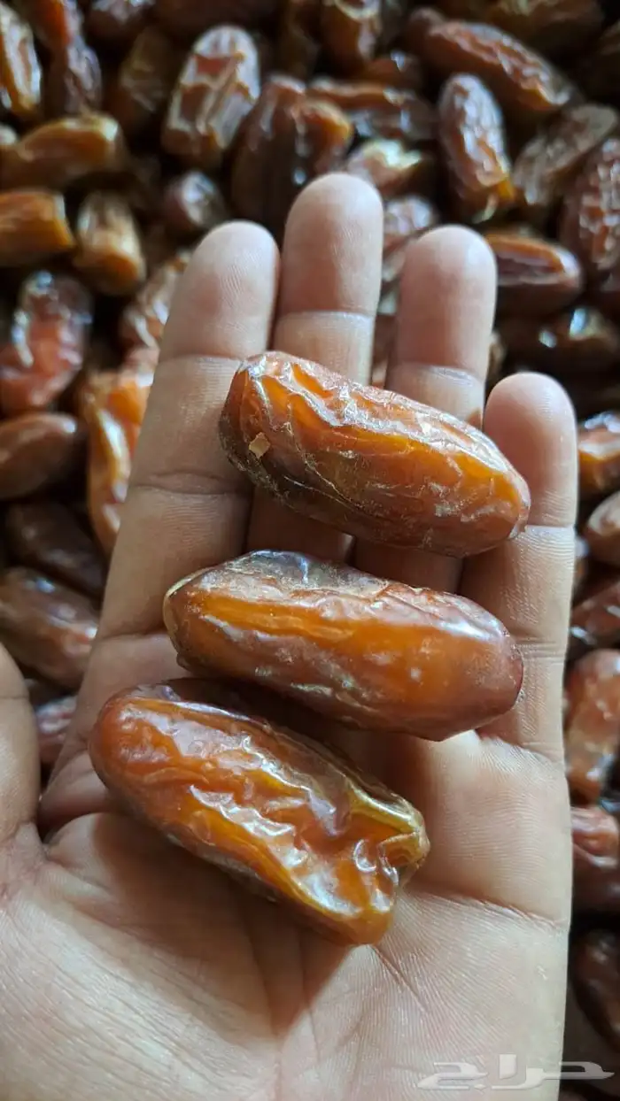 تمر صفري بيشة صافي فاخر 1