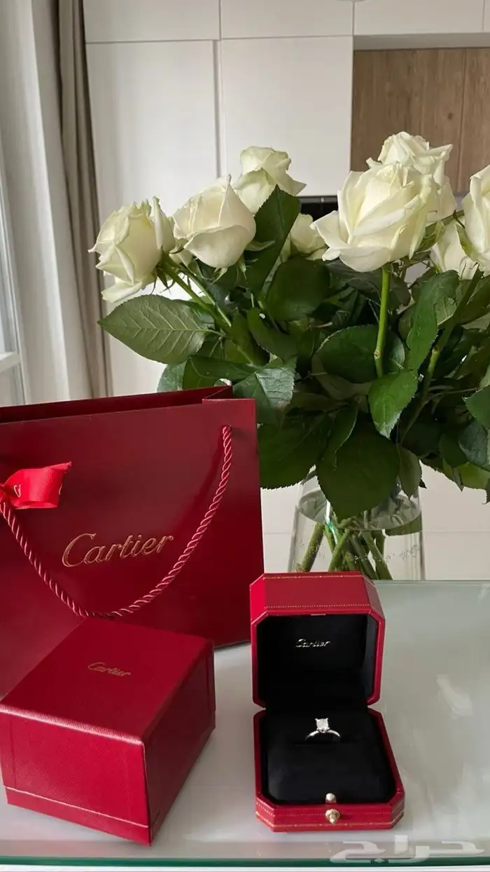 كارتير لويس فيتون جميع الماركات بالجمله 4
