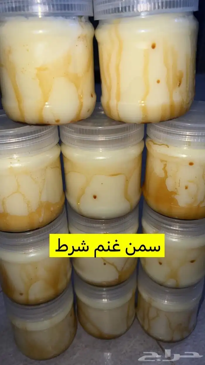 زبده غنم سمن غنم جبنه غنم خاثر غنم لبت لبنه مقدوس نوعين 31
