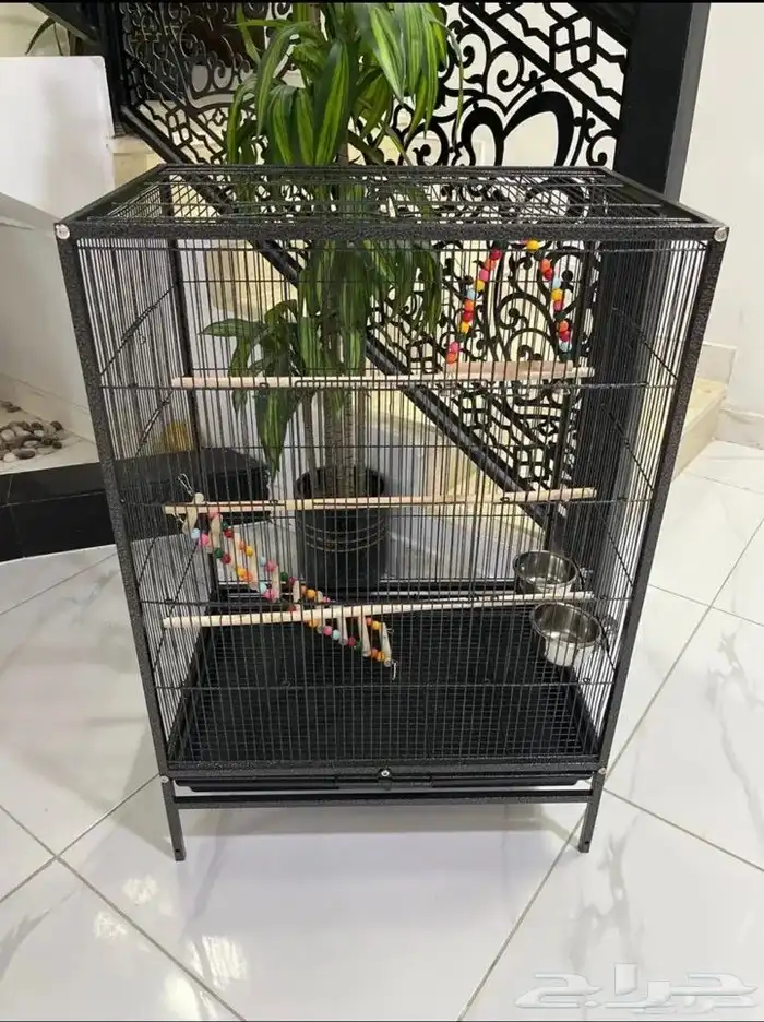 قفص ببغاء 0
