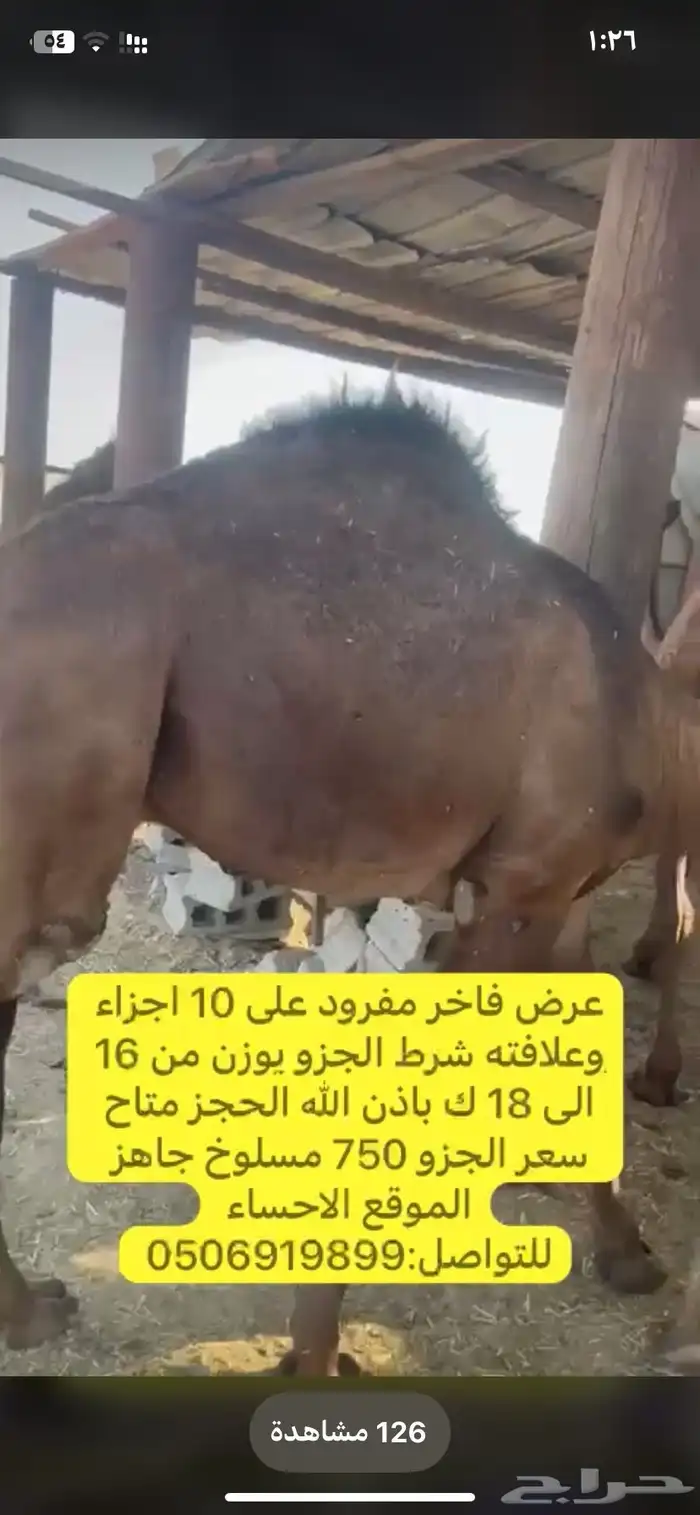 مفرود 0