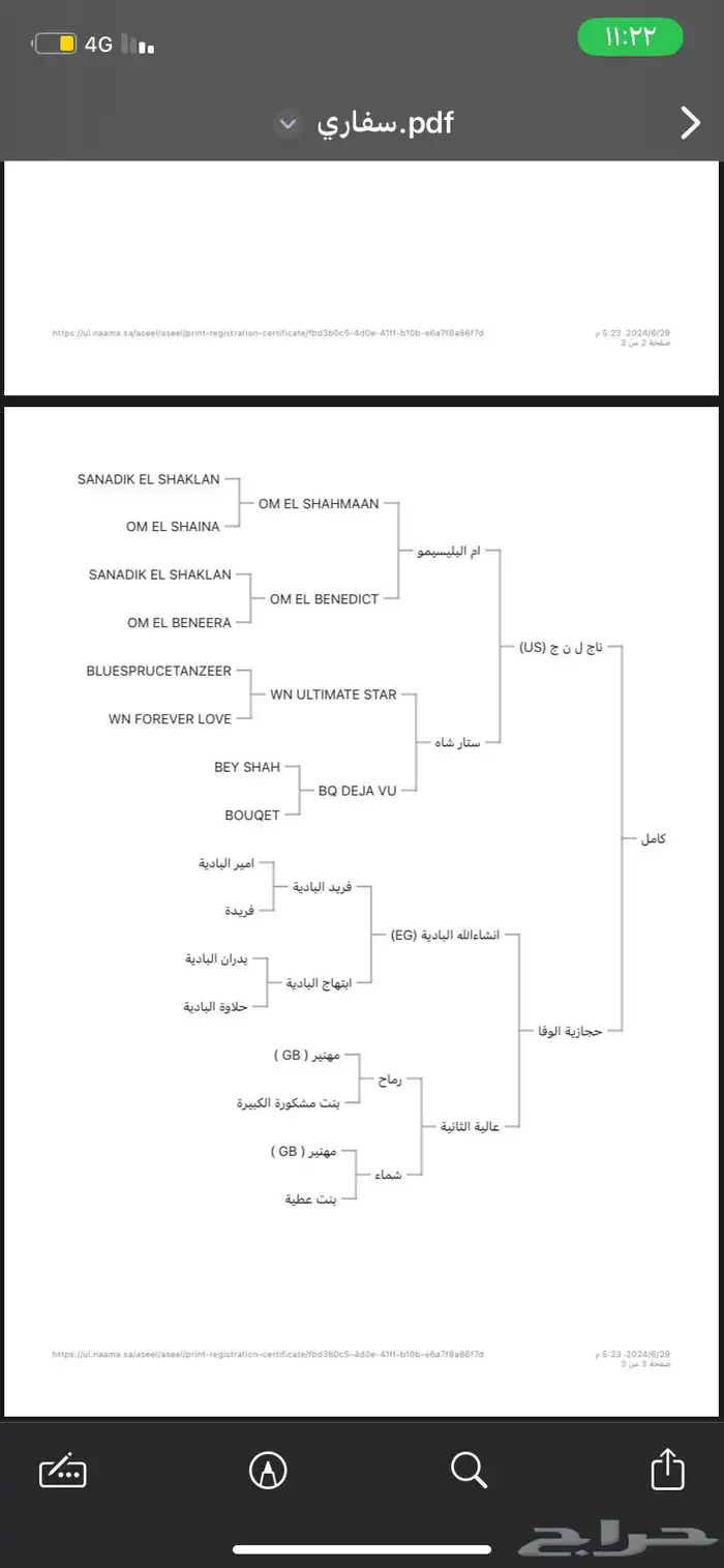 حصان واهو 20