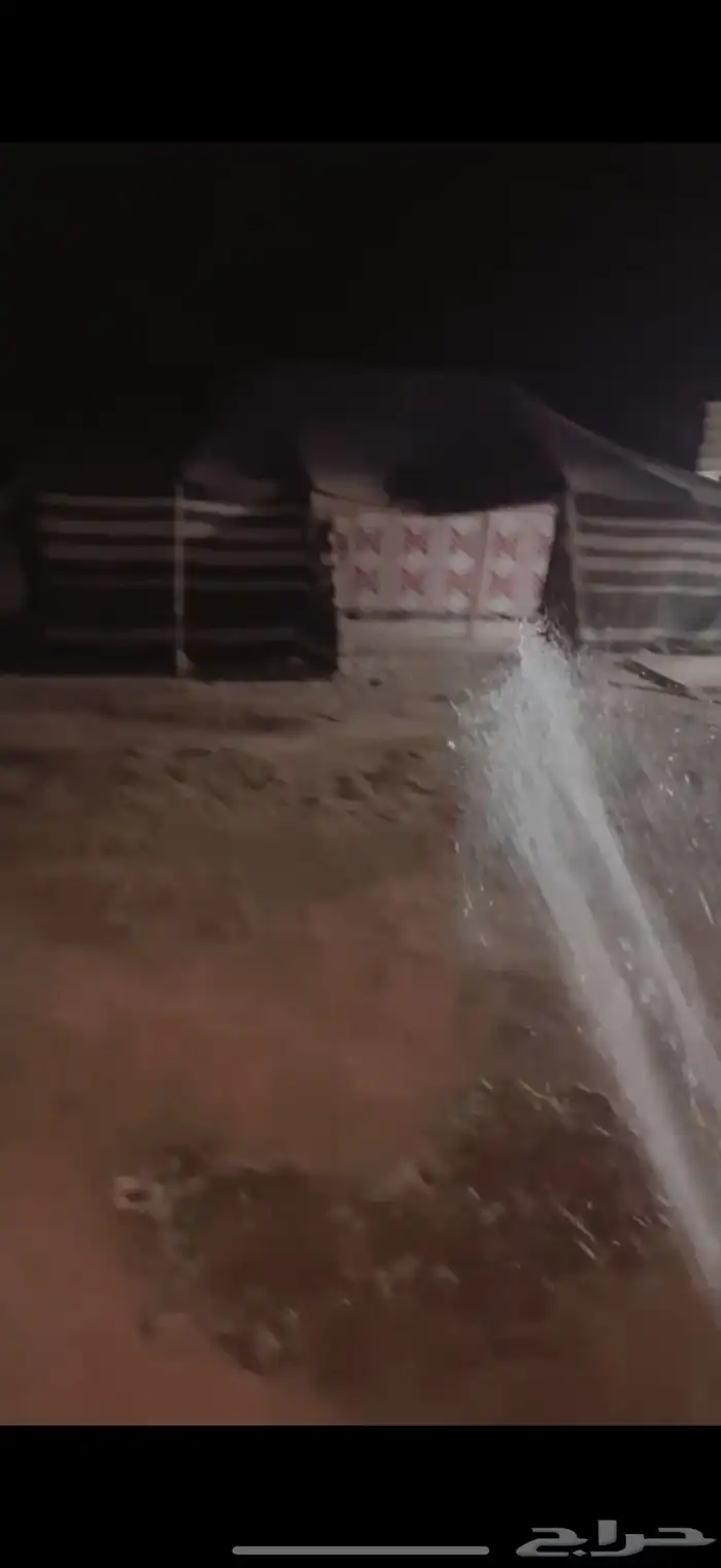 بيت  شعر نظيف 2