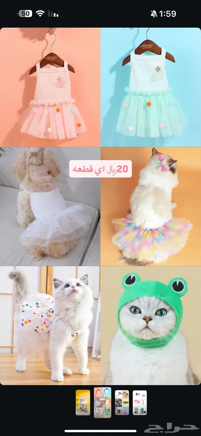مستلزمات قطط 4