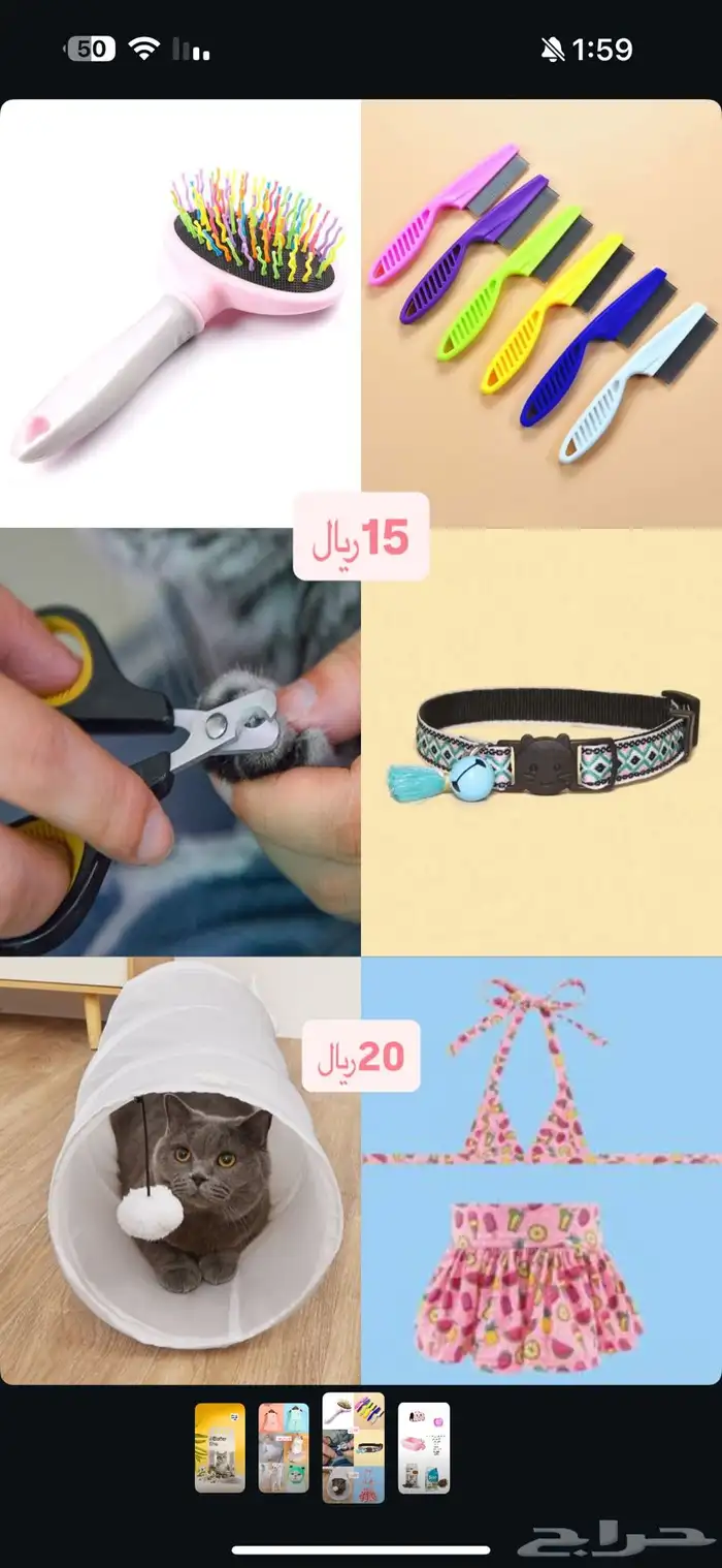 مستلزمات قطط 3
