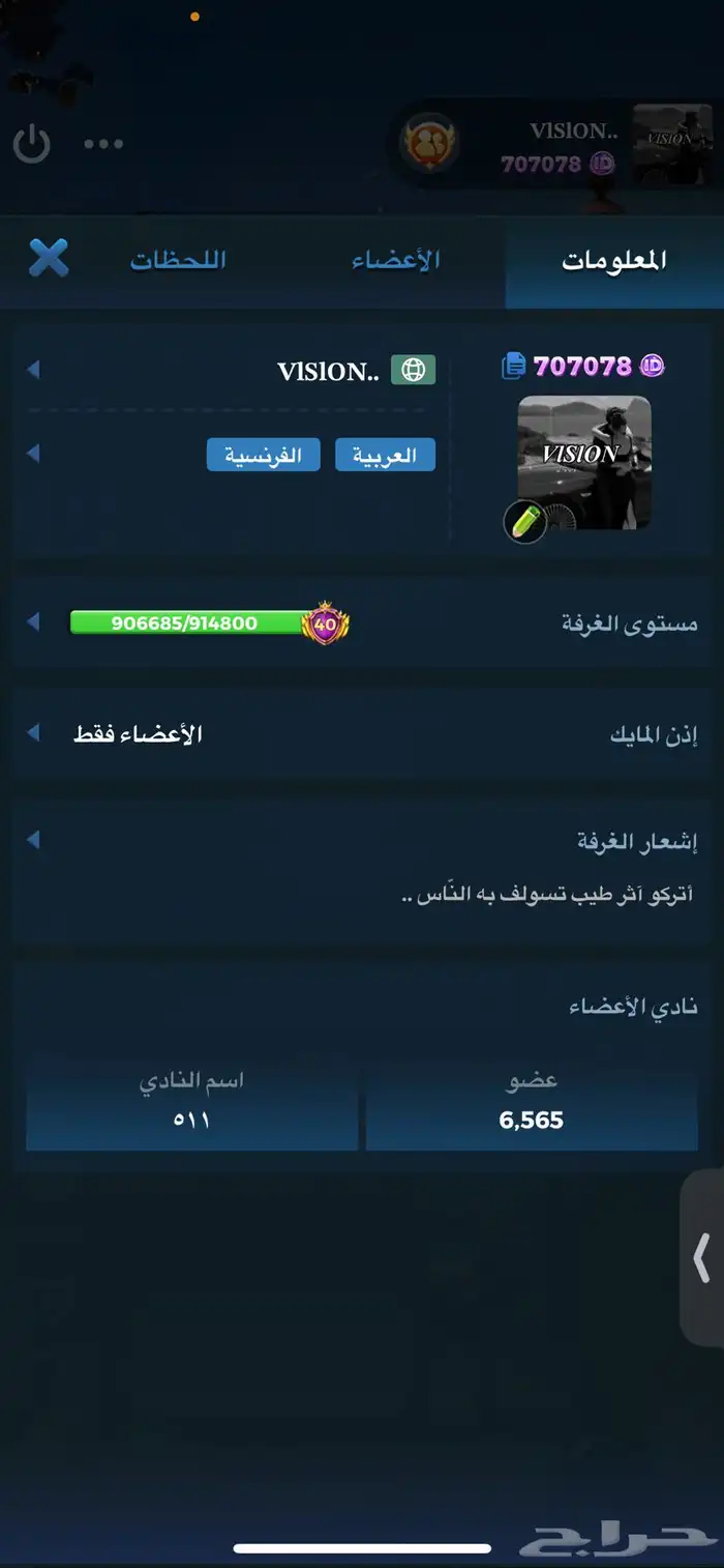 حساب لودو مميز 16