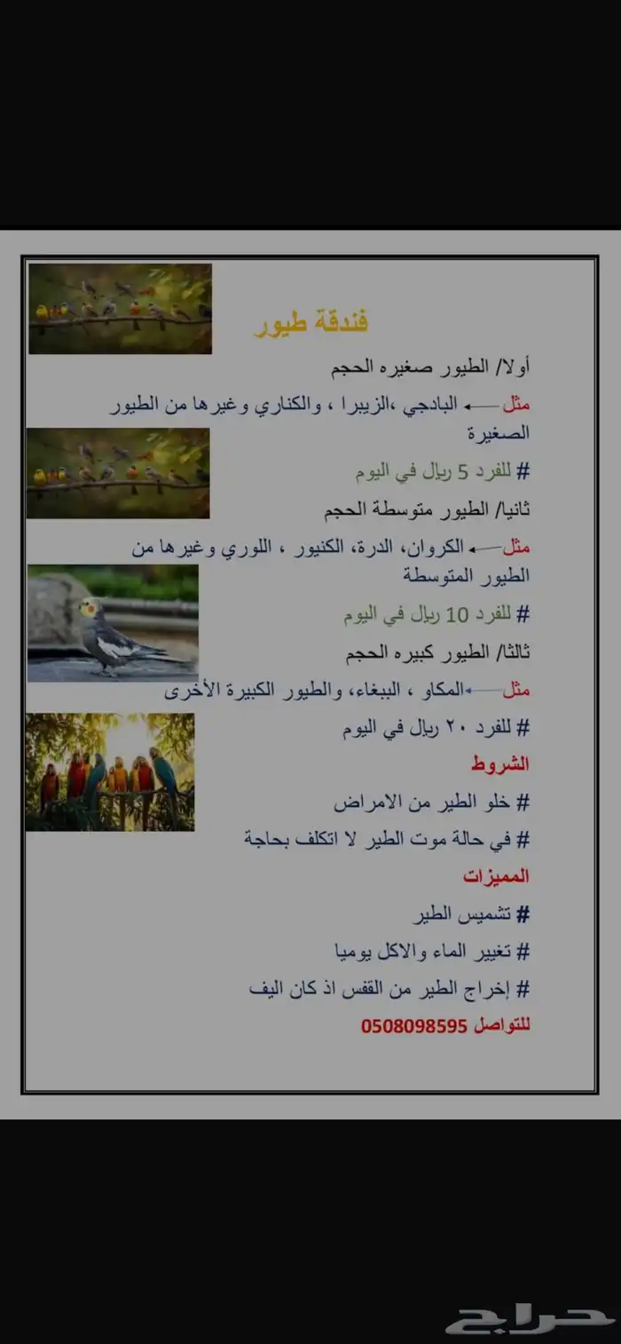 فندقه طيور بأسعار مخفضه 0