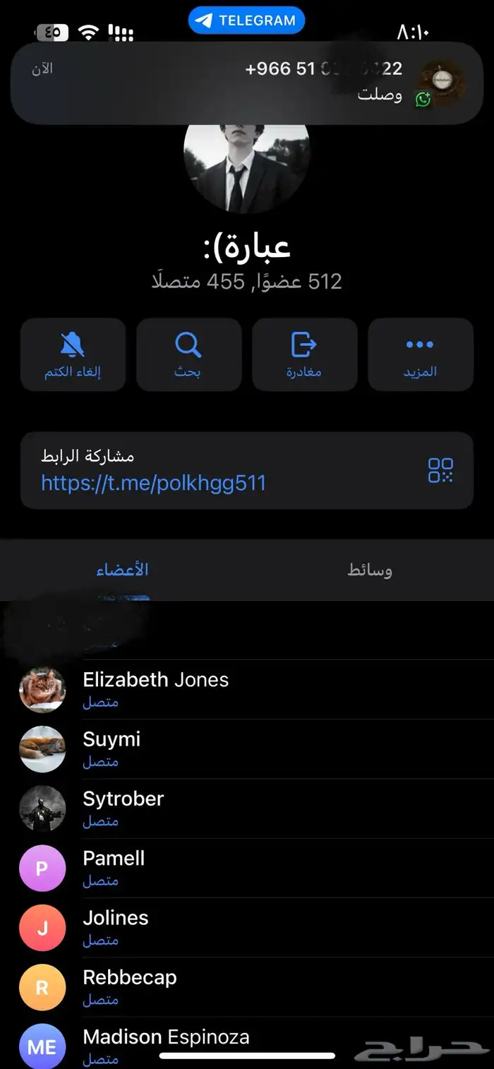 رفع متابعى واعضاء تيك وتلي وجميع البرنامج 0