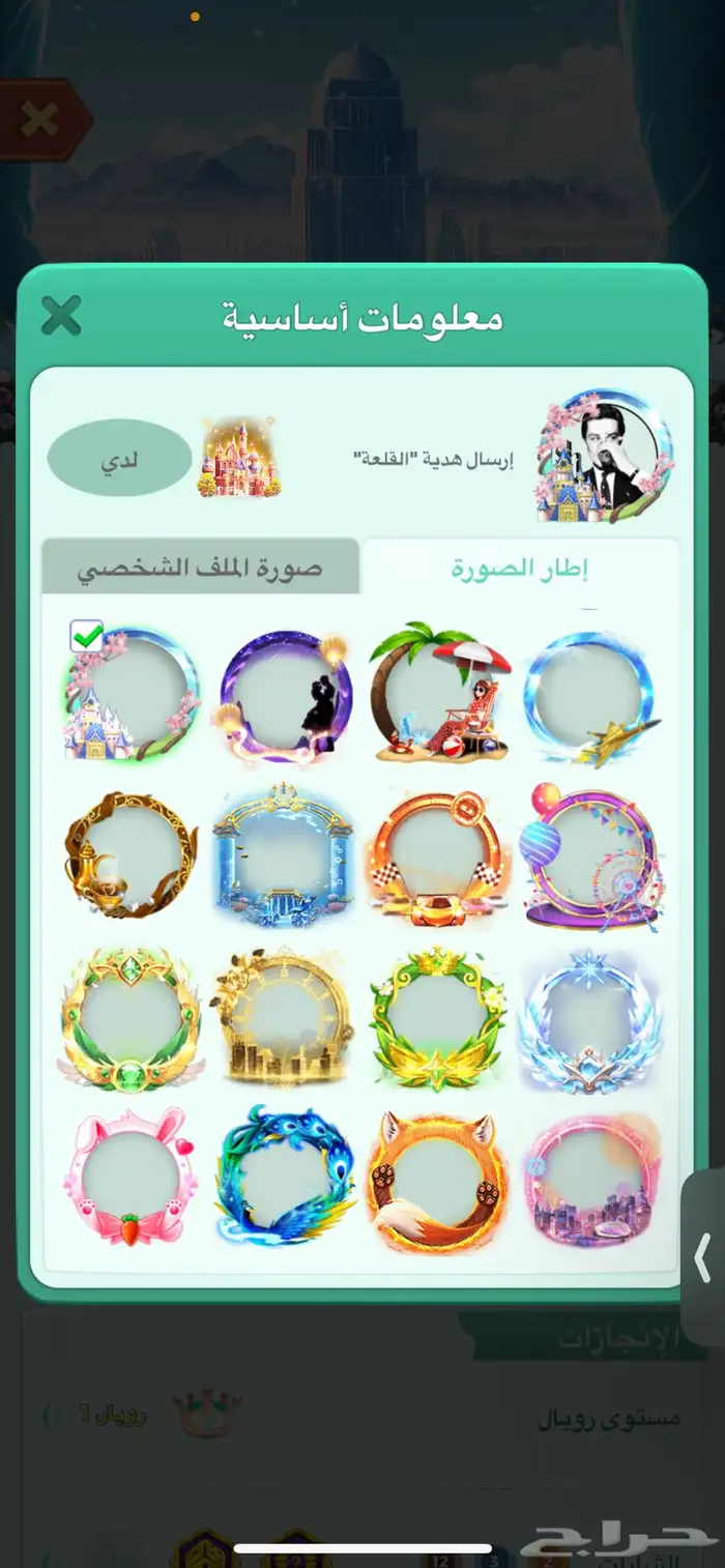 حساب لودو مميز 14