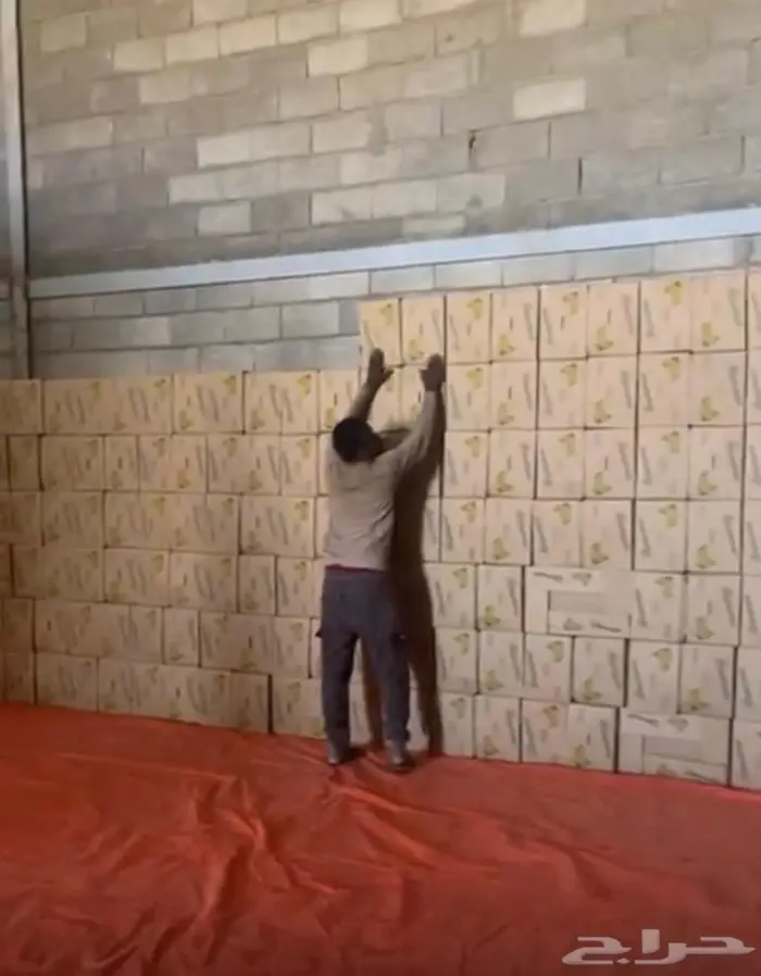 1000 كرتون موز جديد مع الكيس 0