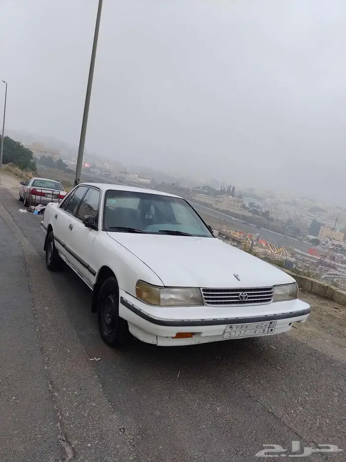 كرسيدا 1994 14