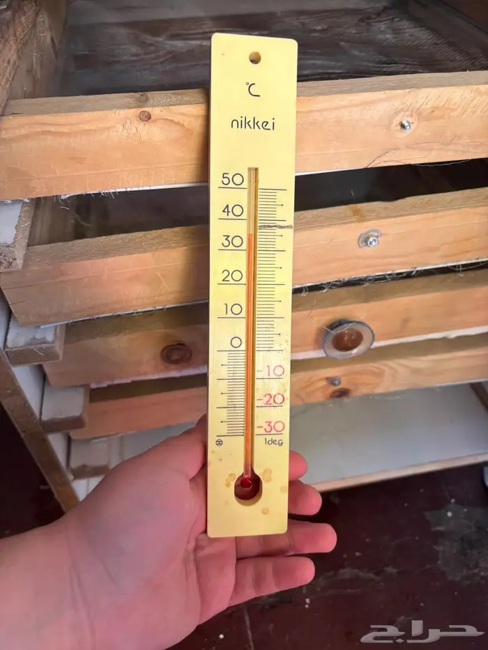 فقاسة بيض 10