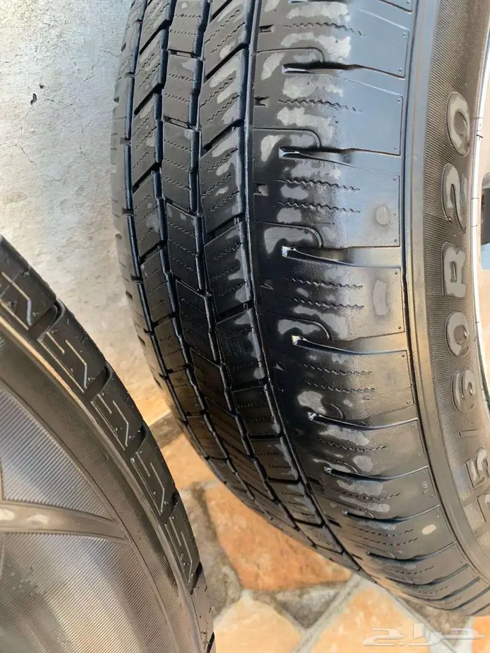 طقم جنوط سكويا ليمتد 8