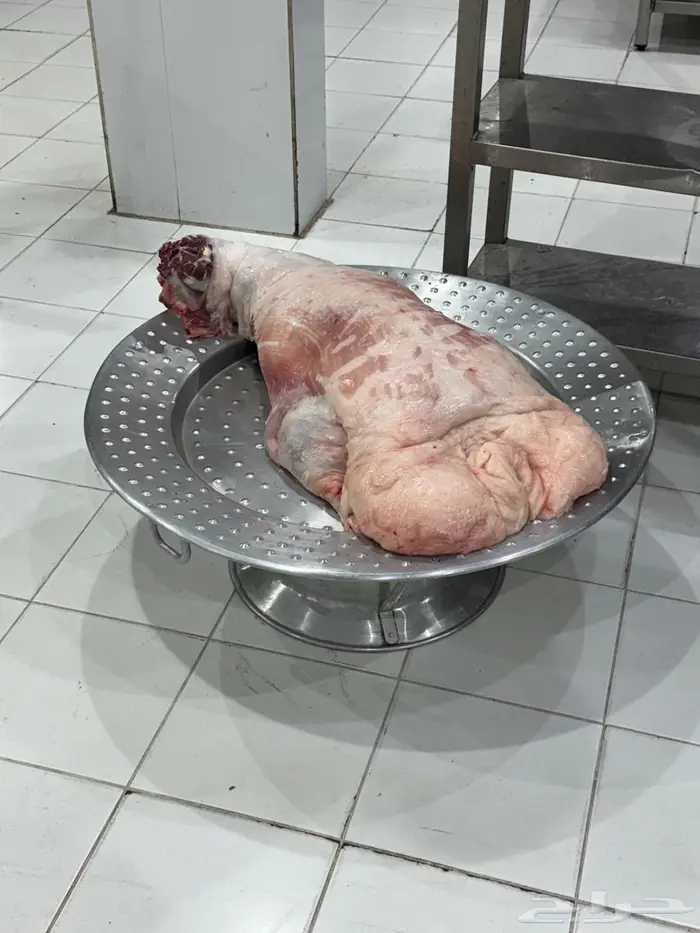 ذبياح بريه وكفوا 7
