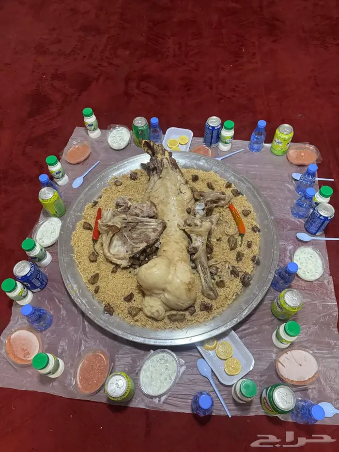 ذبياح بريه وكفوا 8