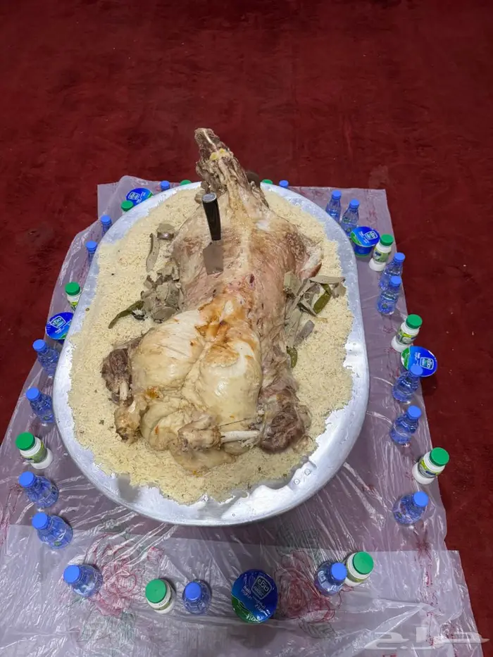 ذبياح بريه وكفوا 9