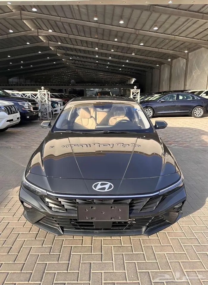 هونداي النترا وارد الصين 2024 0