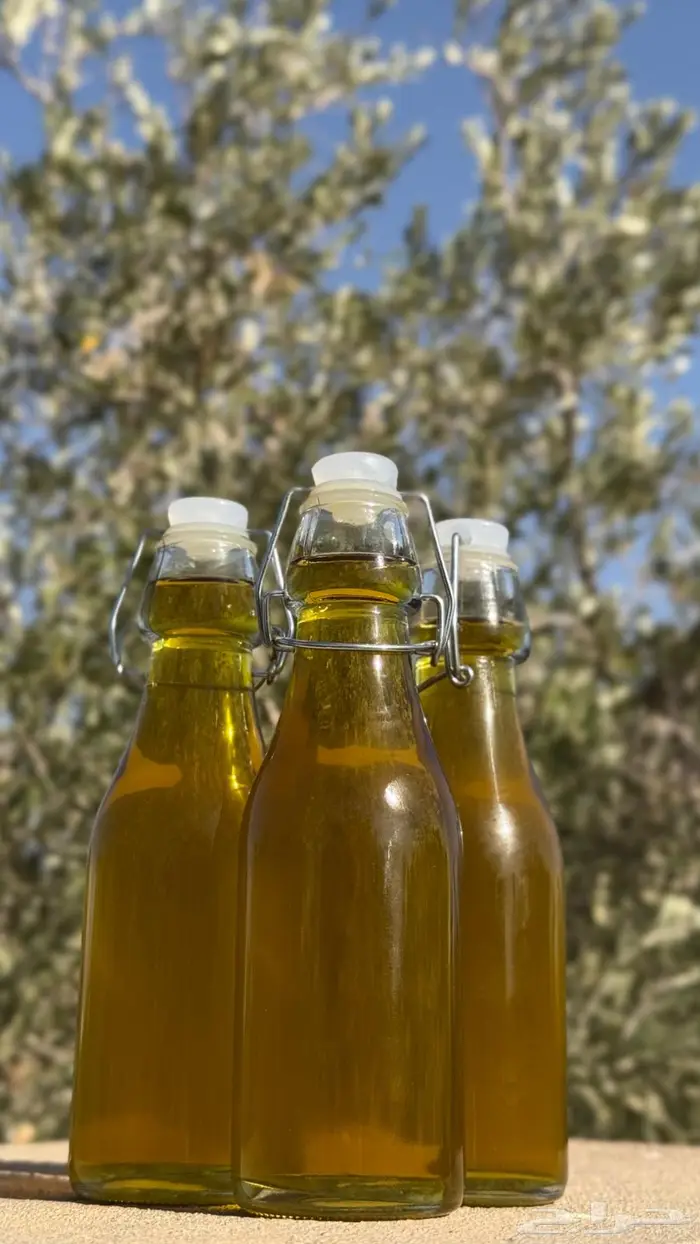 زيت زيتون الجوف طبرجل 0