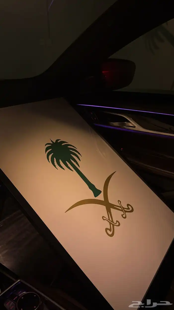 لوحة سيفين ونخله 0