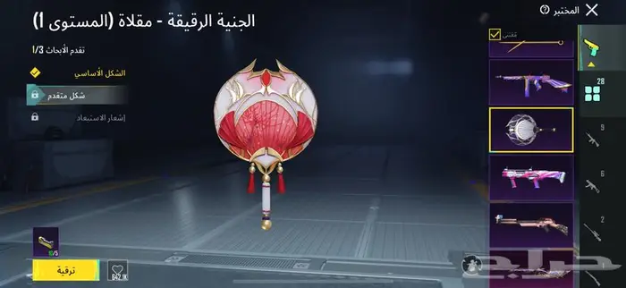 حساب ببجي أسطوري 17