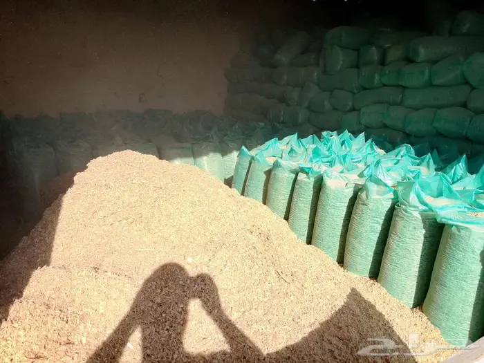 نشارة خشب للدواجن 3