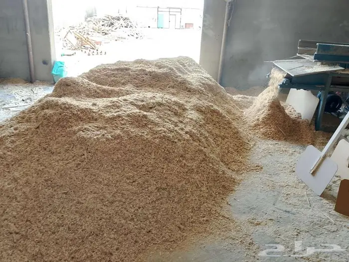 نشارة خشب للدواجن 2