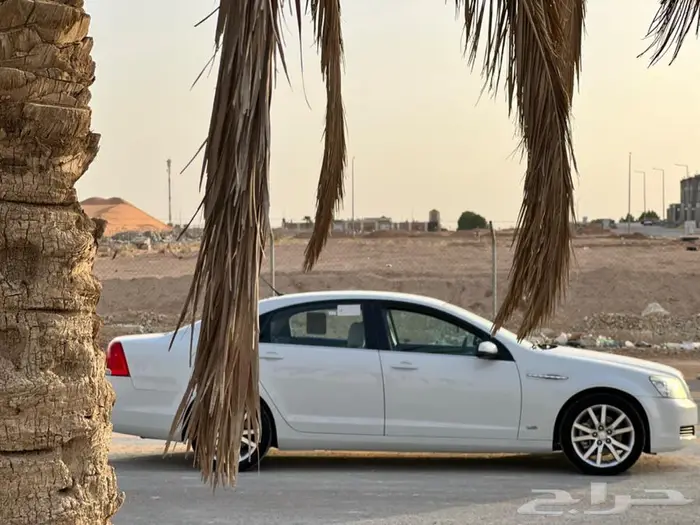 شيفروليه كابرس 2014 ابيض ( تم البيع ) 20