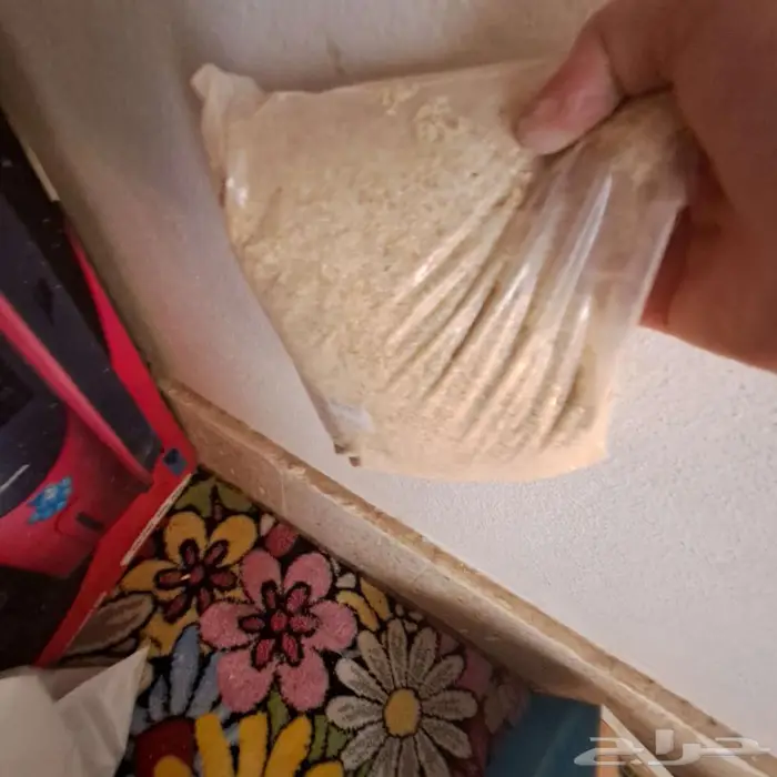 صوص براهما (مهجن) عرض خاص اشتري صوصين والثالث مجانا 2