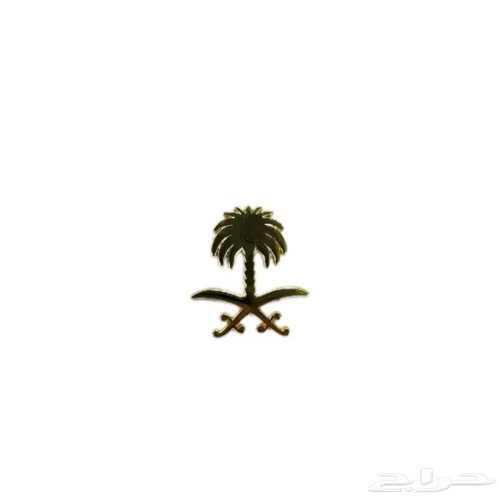 شقق للإيجار طويق 0