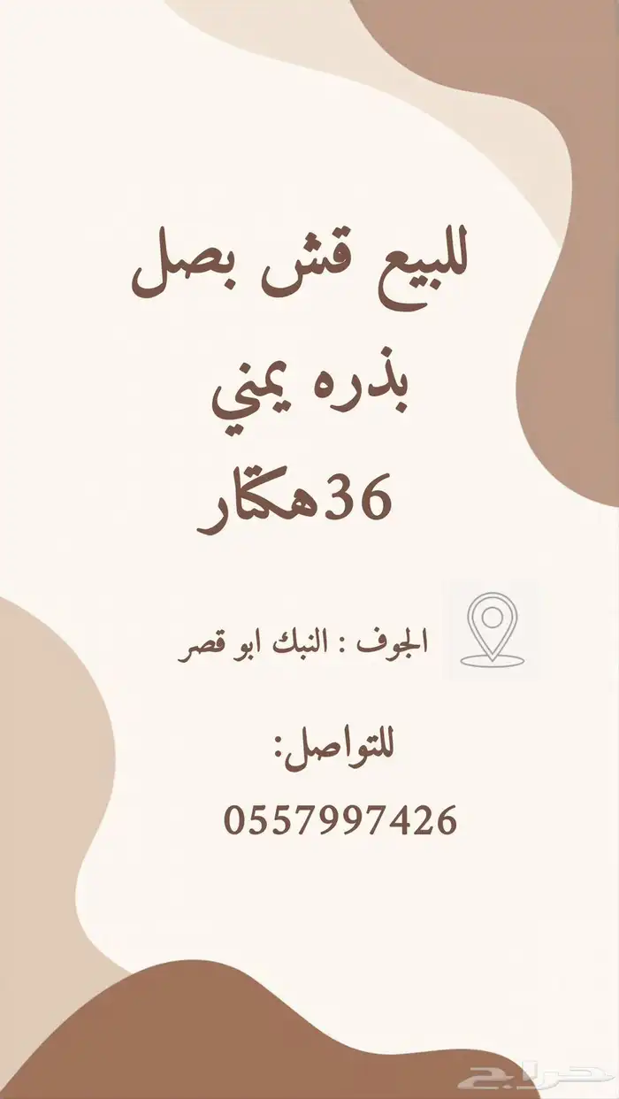 بصل 0