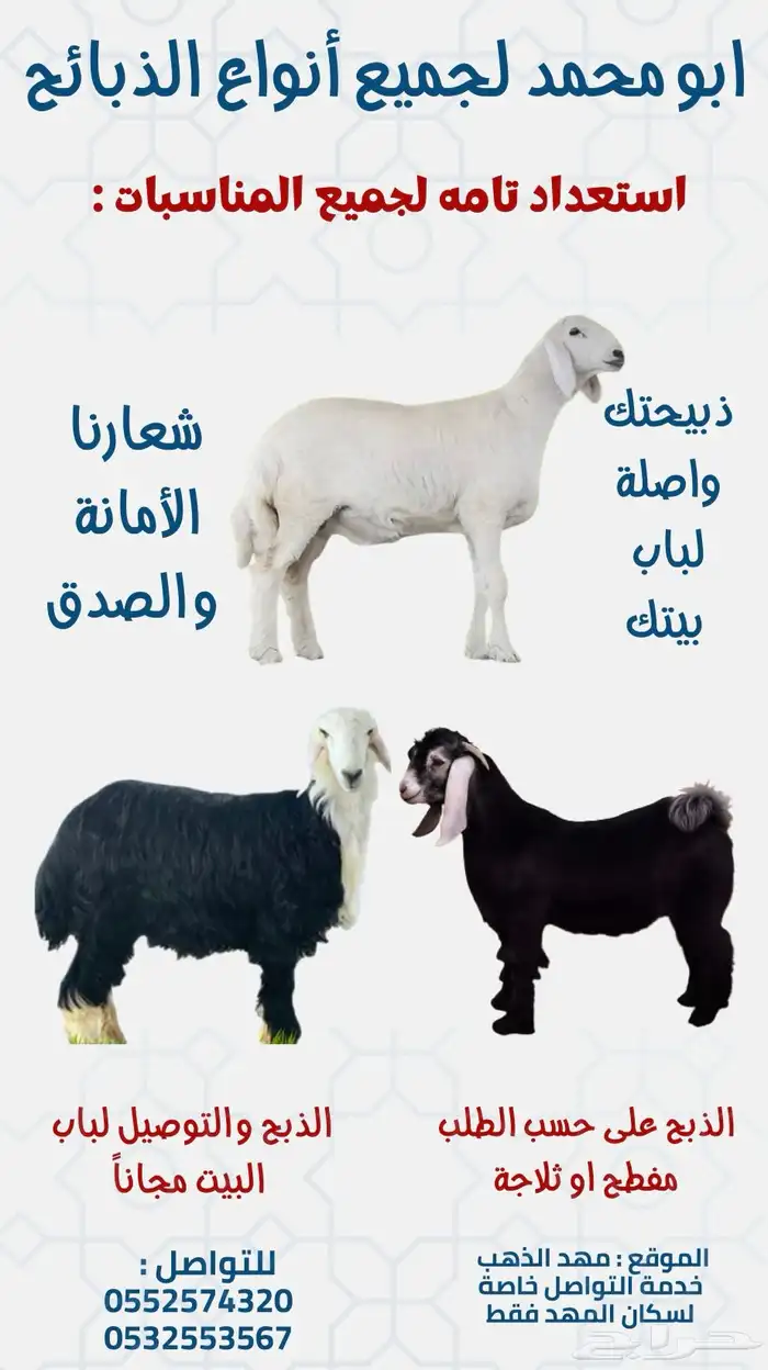 ذبايح للبيع مصلوخ جاهز على حسب الطلب 0