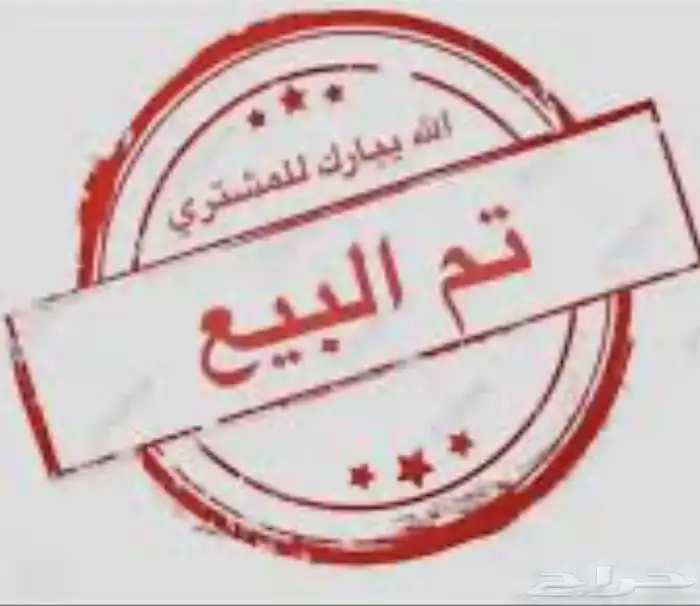 زوج كنيور اناناس رد فاكتوري و دره هولندي لاتينو 5