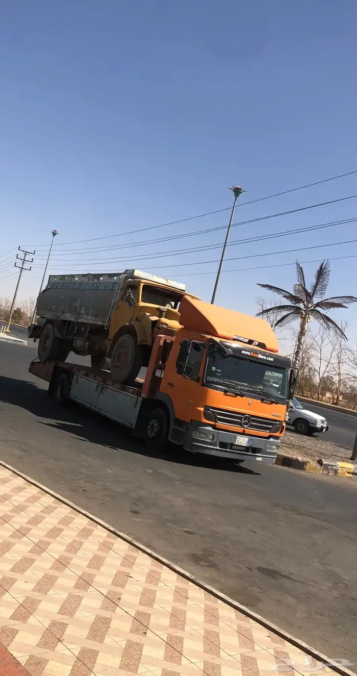 لوبد مسكس تبوك 0